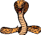 SITE-10-126-SERPENTS00.jpg