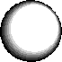 SITE-IMAGES-SUP51.png